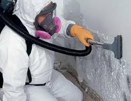 Professional Mold Inspection in Carmel Valley Village, CA